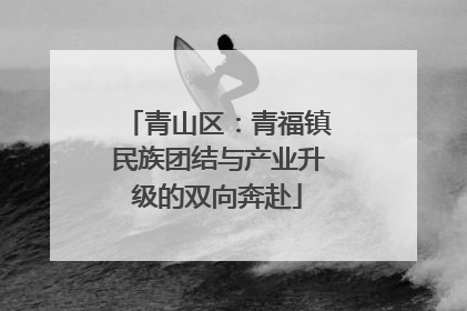 青山区：青福镇民族团结与产业升级的双向奔赴