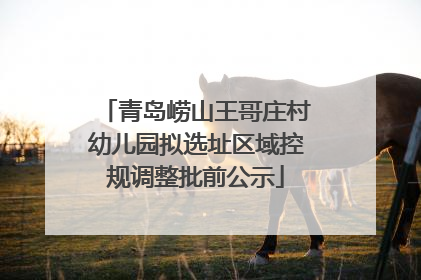 青岛崂山王哥庄村幼儿园拟选址区域控规调整批前公示