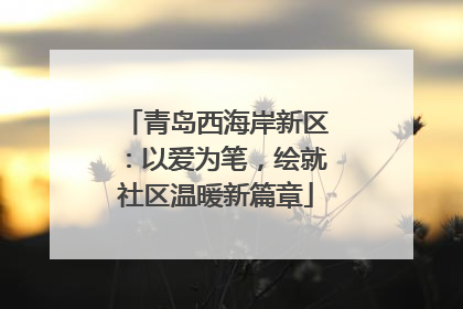 青岛西海岸新区：以爱为笔，绘就社区温暖新篇章