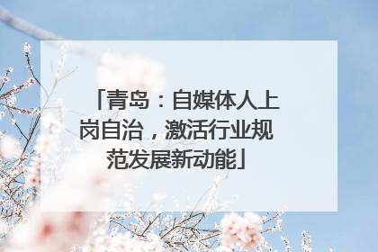 青岛：自媒体人上岗自治，激活行业规范发展新动能