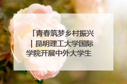 青春筑梦乡村振兴｜昆明理工大学国际学院开展中外大学生社会实践活动