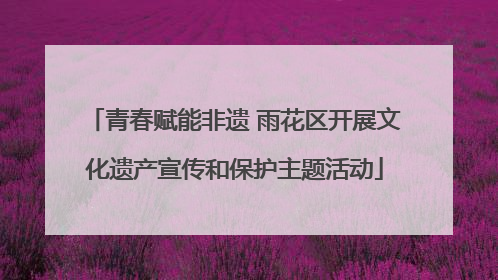 青春赋能非遗 雨花区开展文化遗产宣传和保护主题活动