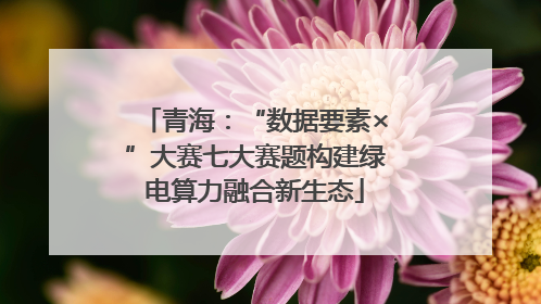 青海：“数据要素×”大赛七大赛题构建绿电算力融合新生态