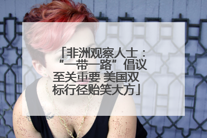 非洲观察人士：“一带一路”倡议至关重要 美国双标行径贻笑大方