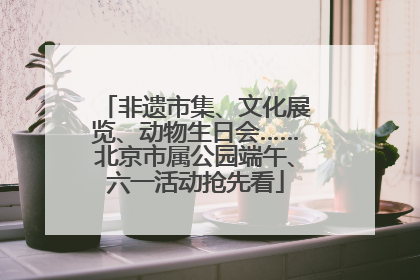 非遗市集、文化展览、动物生日会……北京市属公园端午、六一活动抢先看