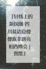 针线上的新国潮 四川盐边县傈僳族非遗亮相西博会｜图集