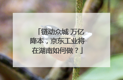 链动众城 万亿降本，京东工业将在湖南如何做？