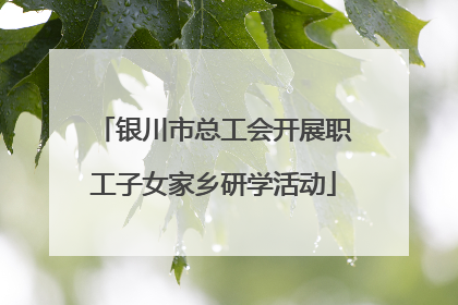 银川市总工会开展职工子女家乡研学活动