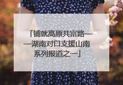 铺就高原共富路——湖南对口支援山南系列报道之一