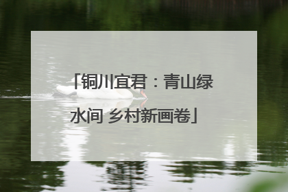 铜川宜君：青山绿水间 乡村新画卷