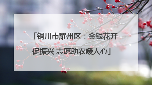 铜川市耀州区：金银花开促振兴 志愿助农暖人心