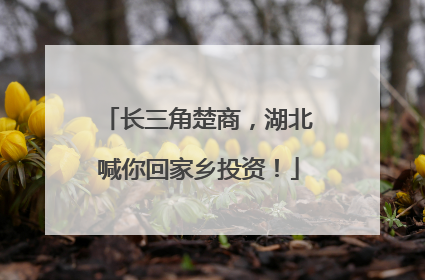 长三角楚商，湖北喊你回家乡投资！