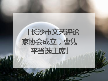 长沙市文艺评论家协会成立，曹隽平当选主席