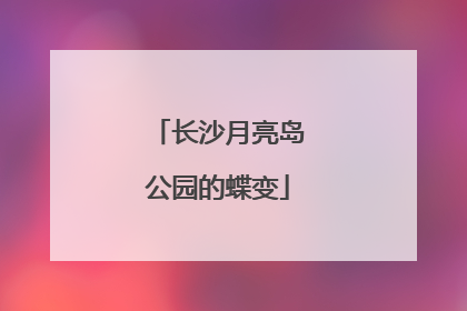 长沙月亮岛公园的蝶变