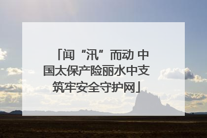 闻“汛”而动 中国太保产险丽水中支筑牢安全守护网