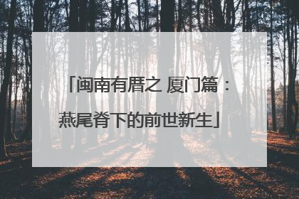 闽南有厝之 厦门篇：燕尾脊下的前世新生