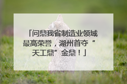 问鼎我省制造业领域最高荣誉，湖州首夺“天工鼎”金鼎！