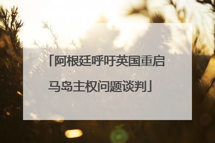 阿根廷呼吁英国重启马岛主权问题谈判