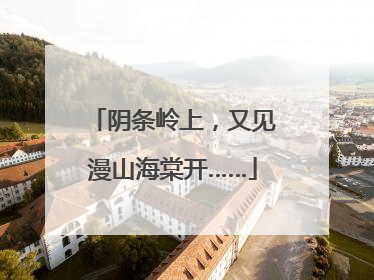 阴条岭上，又见漫山海棠开……