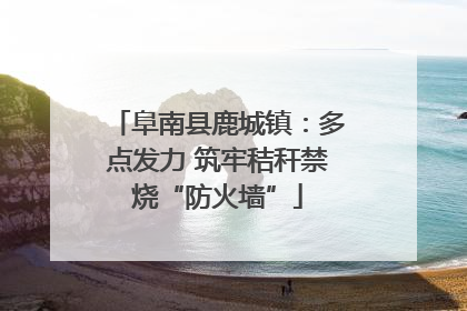 阜南县鹿城镇：多点发力 筑牢秸秆禁烧“防火墙”