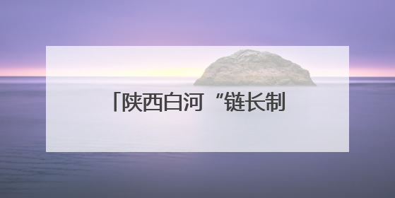 陕西白河“链长制”火了！富硒食品、新型材料、清洁能源、文旅融合齐发力