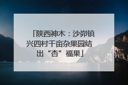 陕西神木：沙峁镇兴四村千亩杂果园结出“杏”福果