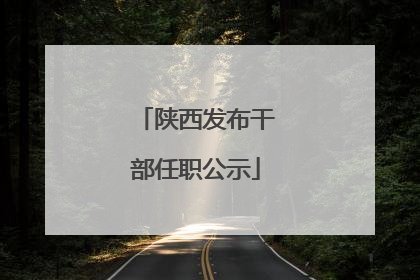 陕西发布干部任职公示