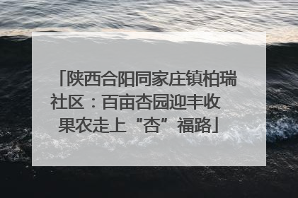 陕西合阳同家庄镇柏瑞社区：百亩杏园迎丰收 果农走上“杏”福路