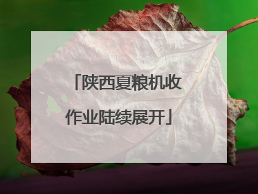 陕西夏粮机收作业陆续展开