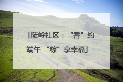陡岭社区：“香”约端午 “粽”享幸福