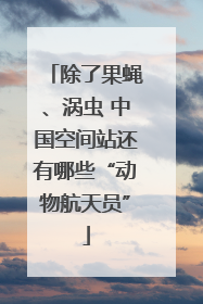 除了果蝇、涡虫 中国空间站还有哪些“动物航天员”