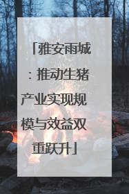 雅安雨城：推动生猪产业实现规模与效益双重跃升