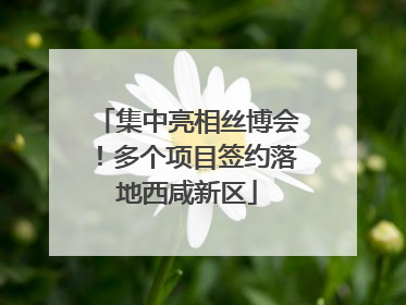 集中亮相丝博会！多个项目签约落地西咸新区