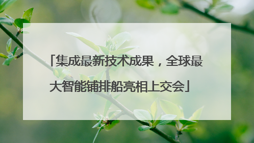 集成最新技术成果，全球最大智能铺排船亮相上交会