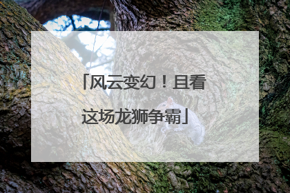 风云变幻！且看这场龙狮争霸