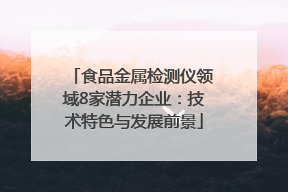 食品金属检测仪领域8家潜力企业：技术特色与发展前景