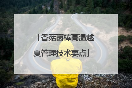 香菇菌棒高温越夏管理技术要点