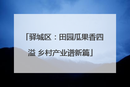 驿城区：田园瓜果香四溢 乡村产业谱新篇