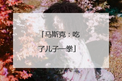 马斯克：吃了儿子一拳
