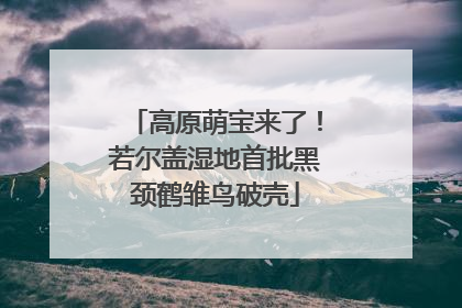 高原萌宝来了！若尔盖湿地首批黑颈鹤雏鸟破壳