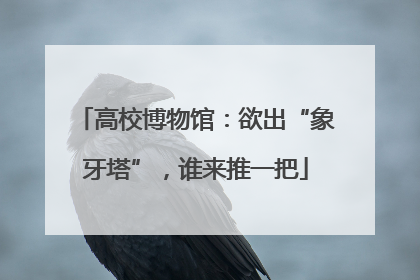 高校博物馆：欲出“象牙塔”，谁来推一把