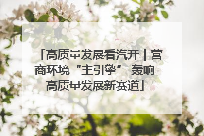 高质量发展看汽开｜营商环境“主引擎” 轰响高质量发展新赛道