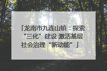 龙南市九连山镇：探索“三化”建设 激活基层社会治理“新动能”