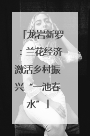 龙岩新罗：兰花经济激活乡村振兴“一池春水”