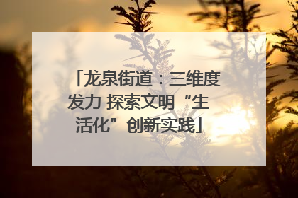 龙泉街道：三维度发力 探索文明“生活化”创新实践