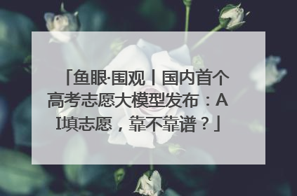 鱼眼·围观丨国内首个高考志愿大模型发布：AI填志愿，靠不靠谱？