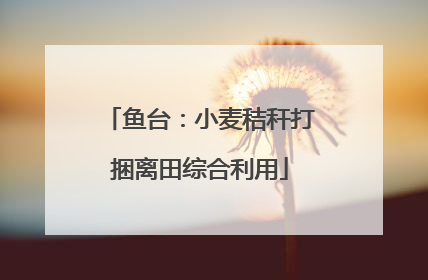 鱼台：小麦秸秆打捆离田综合利用