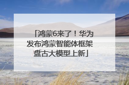 鸿蒙6来了！华为发布鸿蒙智能体框架 盘古大模型上新