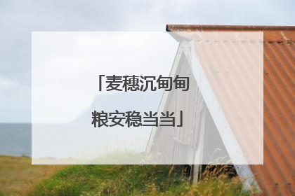 麦穗沉甸甸 粮安稳当当