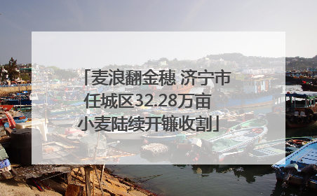 麦浪翻金穗 济宁市任城区32.28万亩小麦陆续开镰收割